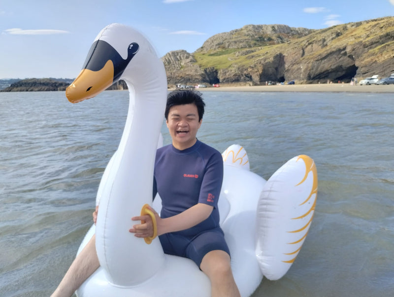 Fabulous Holiday