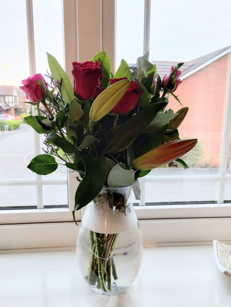 Beautiful Flowers