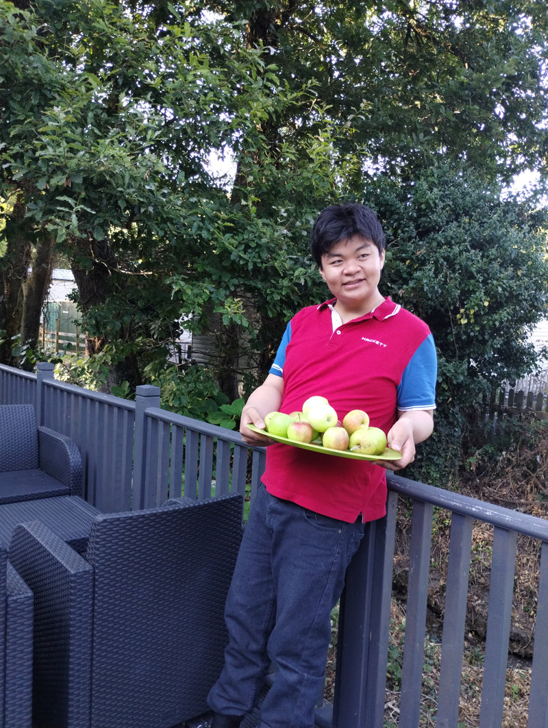 Apple Picking