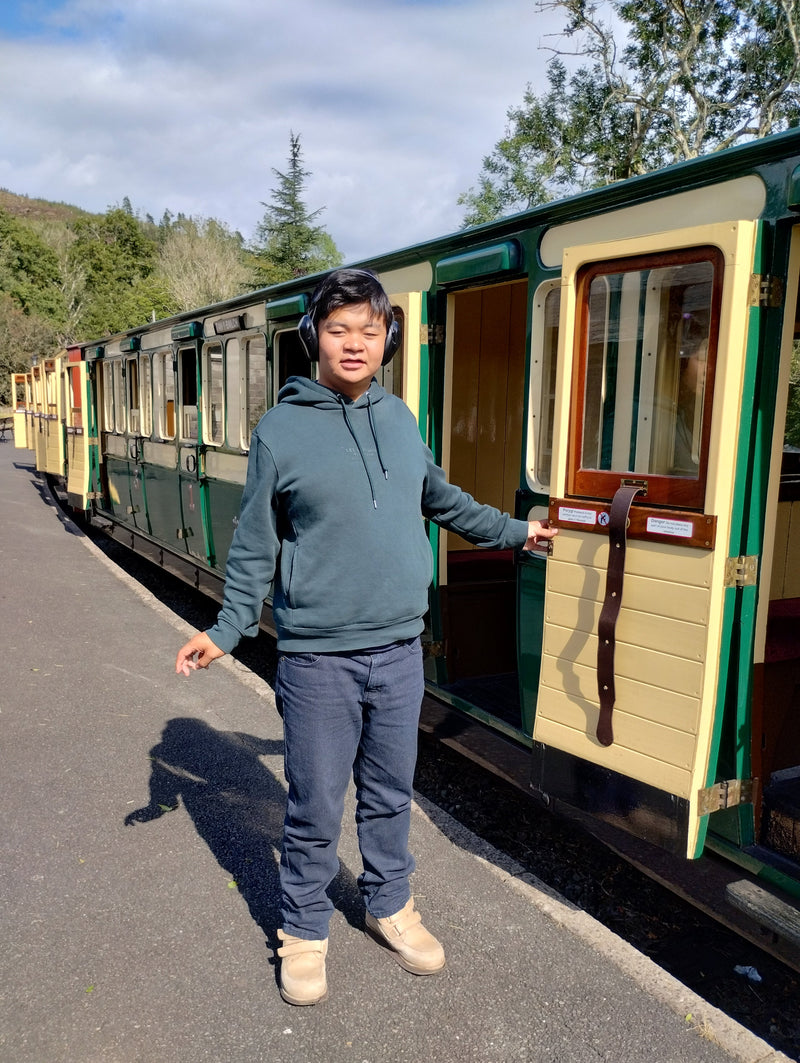 Ffestiniog Railways