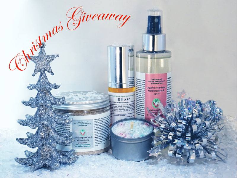 SNEAK PREVIEW OF THE CHRISTMAS GIVEAWAY