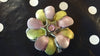 Soap Making Workshop - 18th May 2025